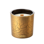 Enchantment-THoO-Interior-Collection-niche-candles-880-removebg-preview