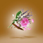 ALEXANDRIA II – Image 3