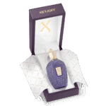 PURPLE ACCENTO – Image 2