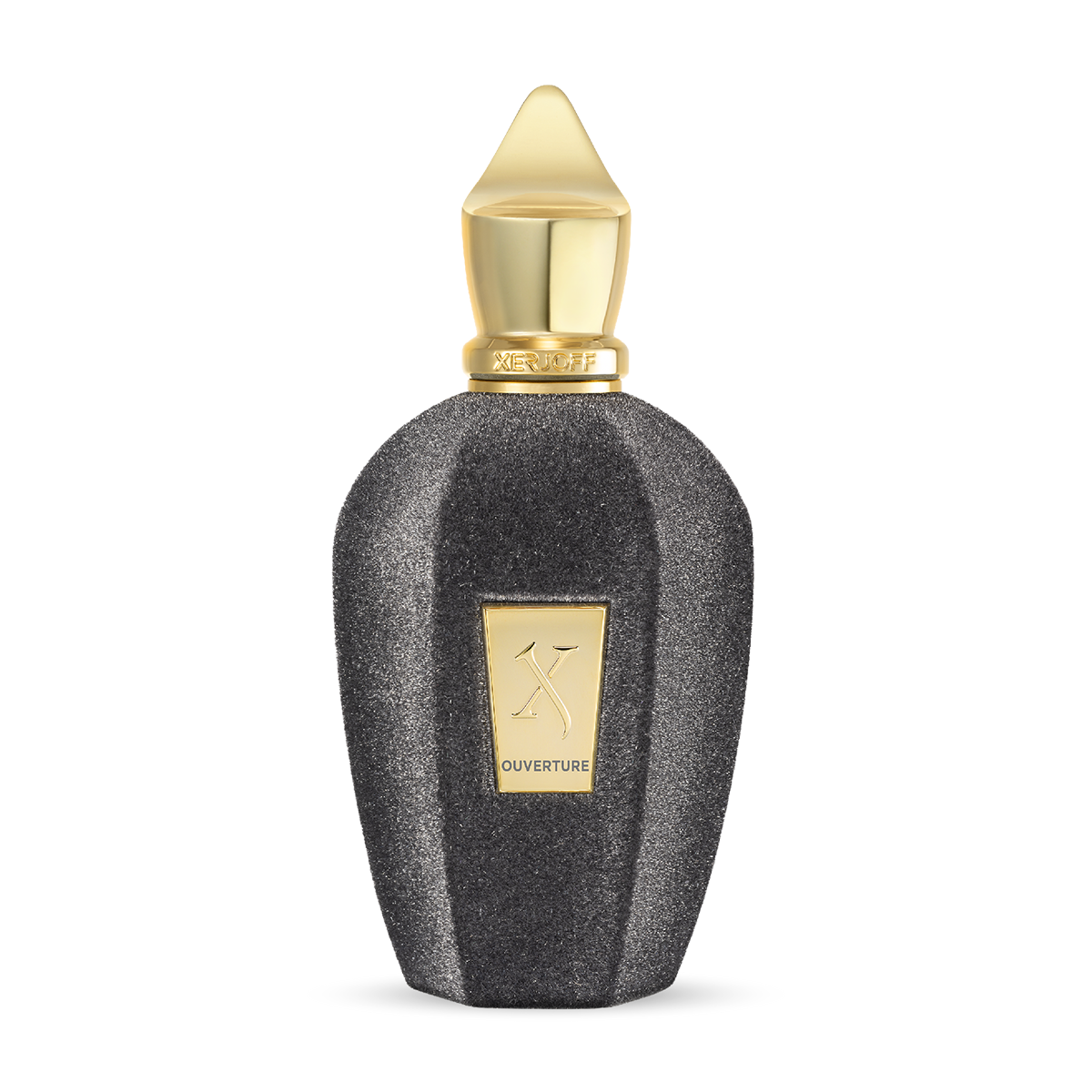 3714.png OUVERTURE – Image 1