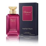 Angélique Begum – Image 2