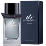 MR. BURBERRY INDIGO – Image 2