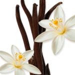 ALTHAÏR – Image 3