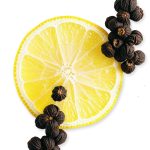 GALLOWAY – Image 3