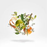 RENAISSANCE DEODORANT SPRAY – Image 3